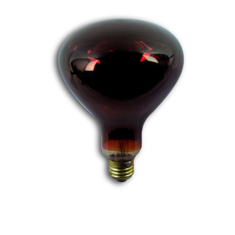 FOCO INFRARROJO R40 250W ROJO SAGLITE